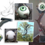 eye